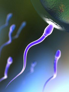 A napi élvezés javítja a sperma minőségét