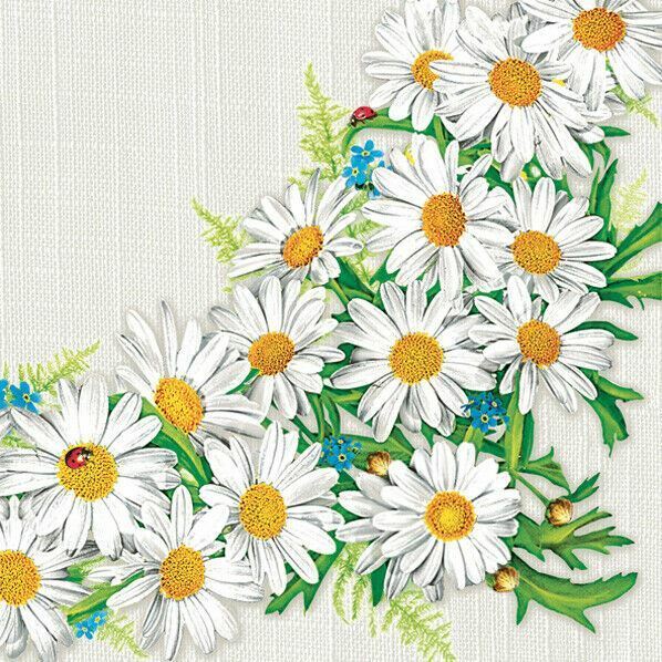 Two Individual Paper Luncheon Decoupage 3-Ply Napkins Daisy Flowers Lady Bug