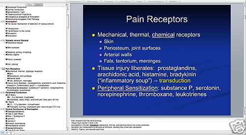65 page PSYCHIATRY Of PAIN PowerPoint Presentation CD