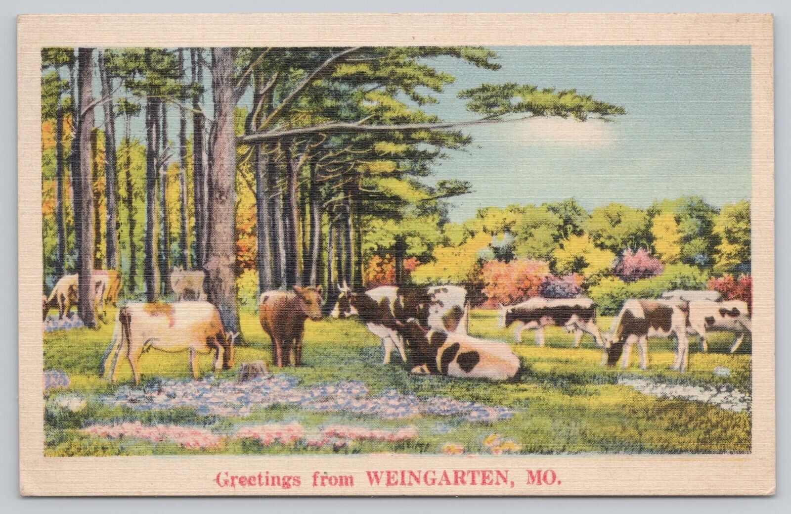 Postcard Greetings From Weingarten Missouri St Genevieve County Linen 1944