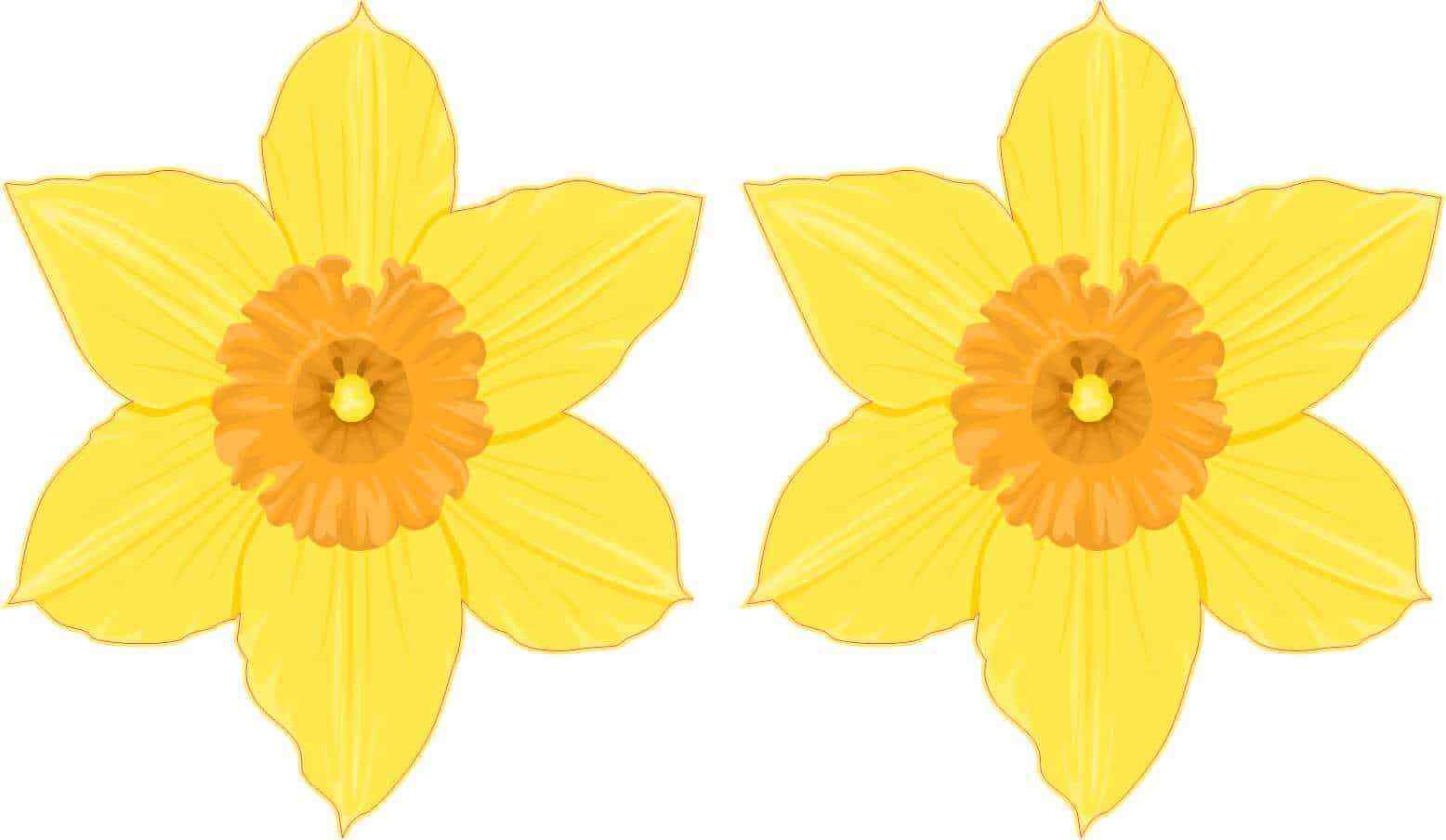 2.5in x 3in Yellow Daffodil Vinyl Stickers Car Truck Vehicle Bumper Decals