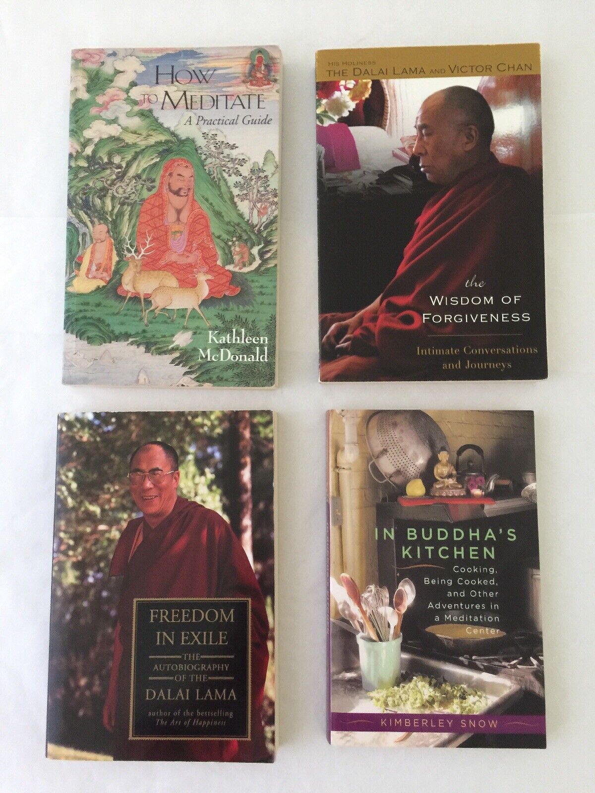 Meditation Mindful Living His Holiness The Dalai Lama Autobiography Mindfulness 