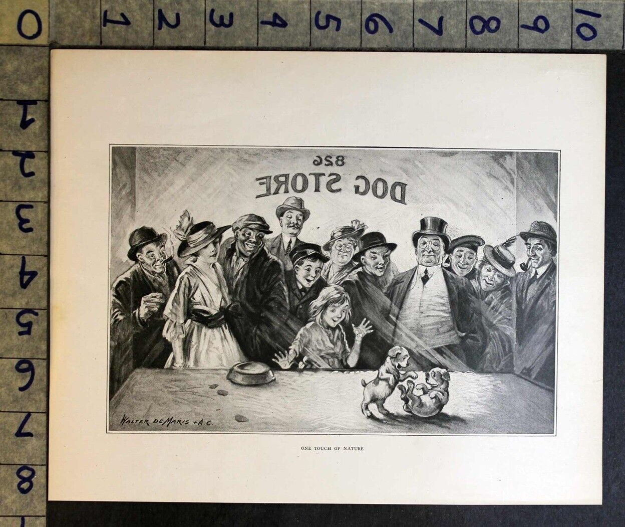 1916 DOG SALE PUPPY PLAY STOREFRONT WINDOW WALTER DE MARIS ARTIST PRINT FC4866 