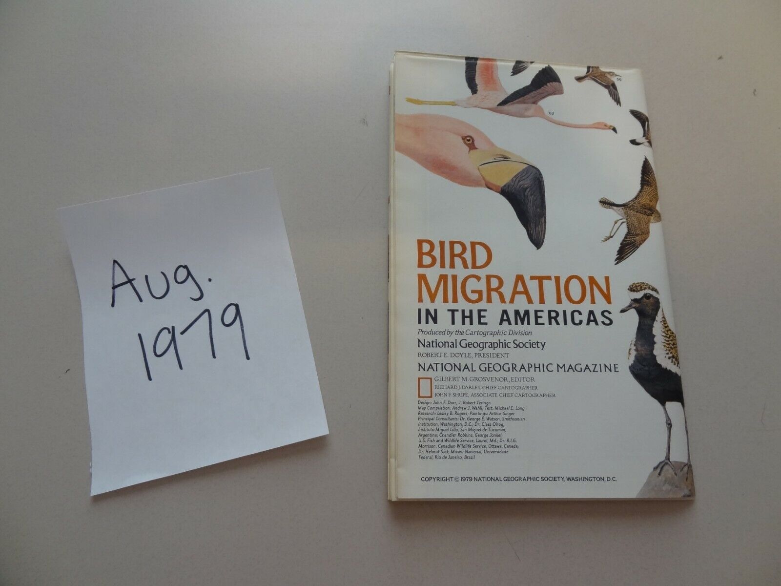 August 1979 Map from National Geographic Bird Migration in the Americas