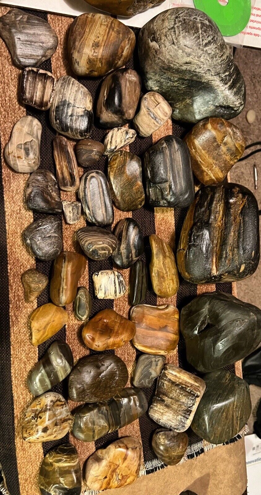 Yellowstone River Naturally Tumbled Petrified Woods Collection. 10+ Lbs