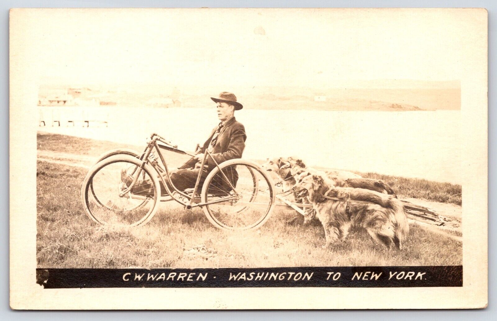 C.W. Warren Washington To New York Dogcart RPPC Vintage Postcard