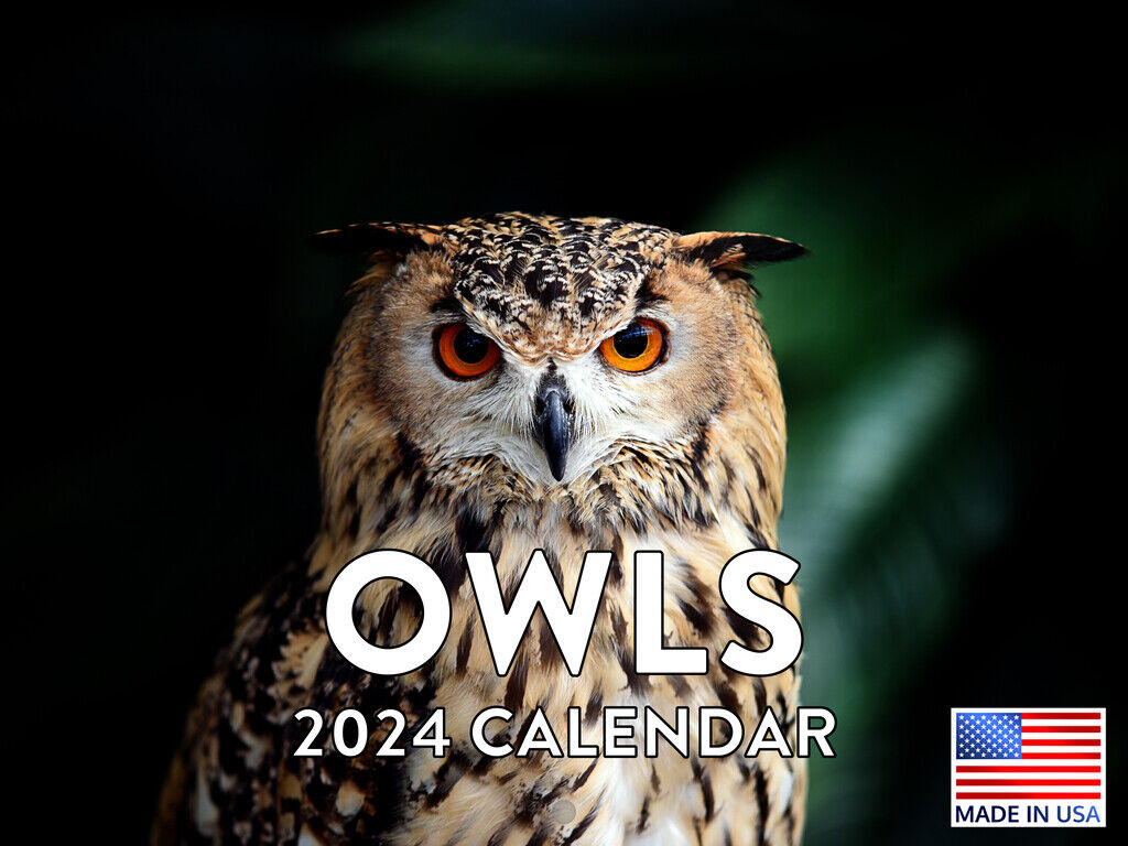 Owl Bird Calander 2024 Wall Calendar