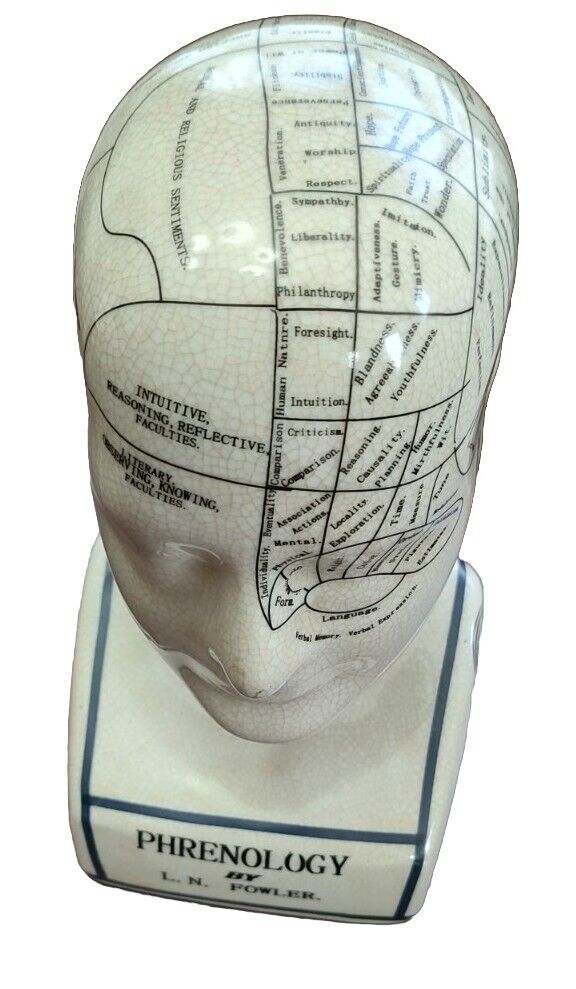 L.N. Fowler Phrenology Head Porcelain Crackle Glazed Medical Bust, London VGUC