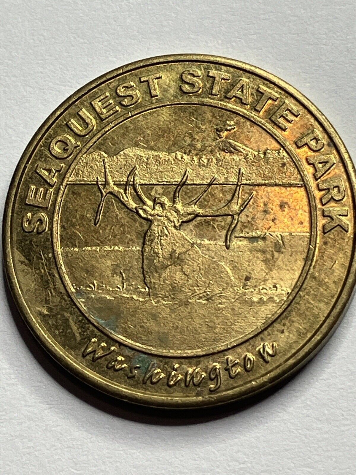 Seaquest State Park Centennial Washington Souvenir Coin Token 22mm #si1