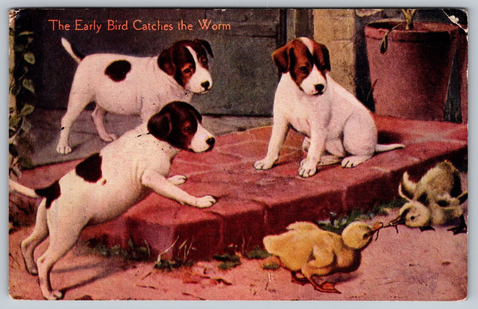 THE EARLY BIRD CATCHES THE WORM Puppies & Chicks 1908 Vintage Postcard S. Dakota