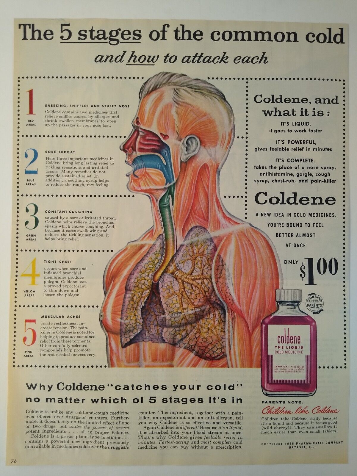 1956 Coldene Common Cold Medicine Vintage Print Ad