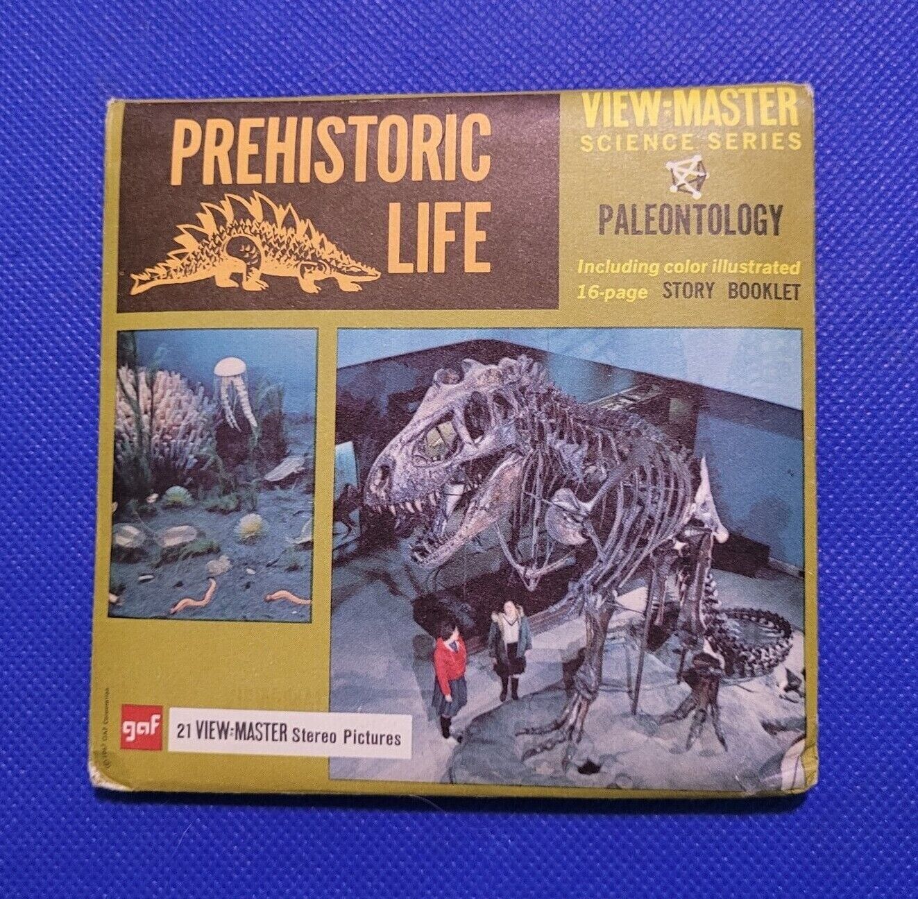 gaf B676 Prehistoric Life Paleontology Science Series view-master 3 Reels Packet