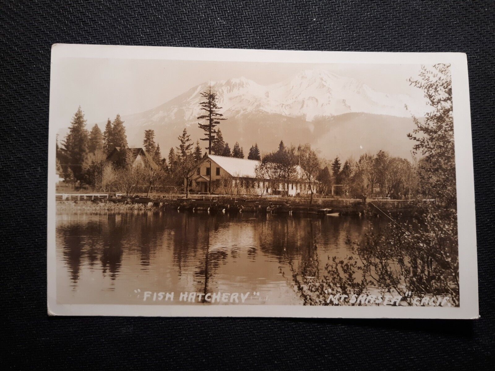 Vintage Sisson Fish Hatchery Mt. Shasta Postcard 2