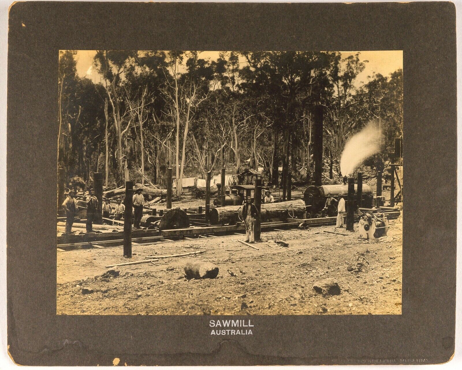 Antique Photo Sawmill Camp Wagerup Western Australia Philadelphia Museums