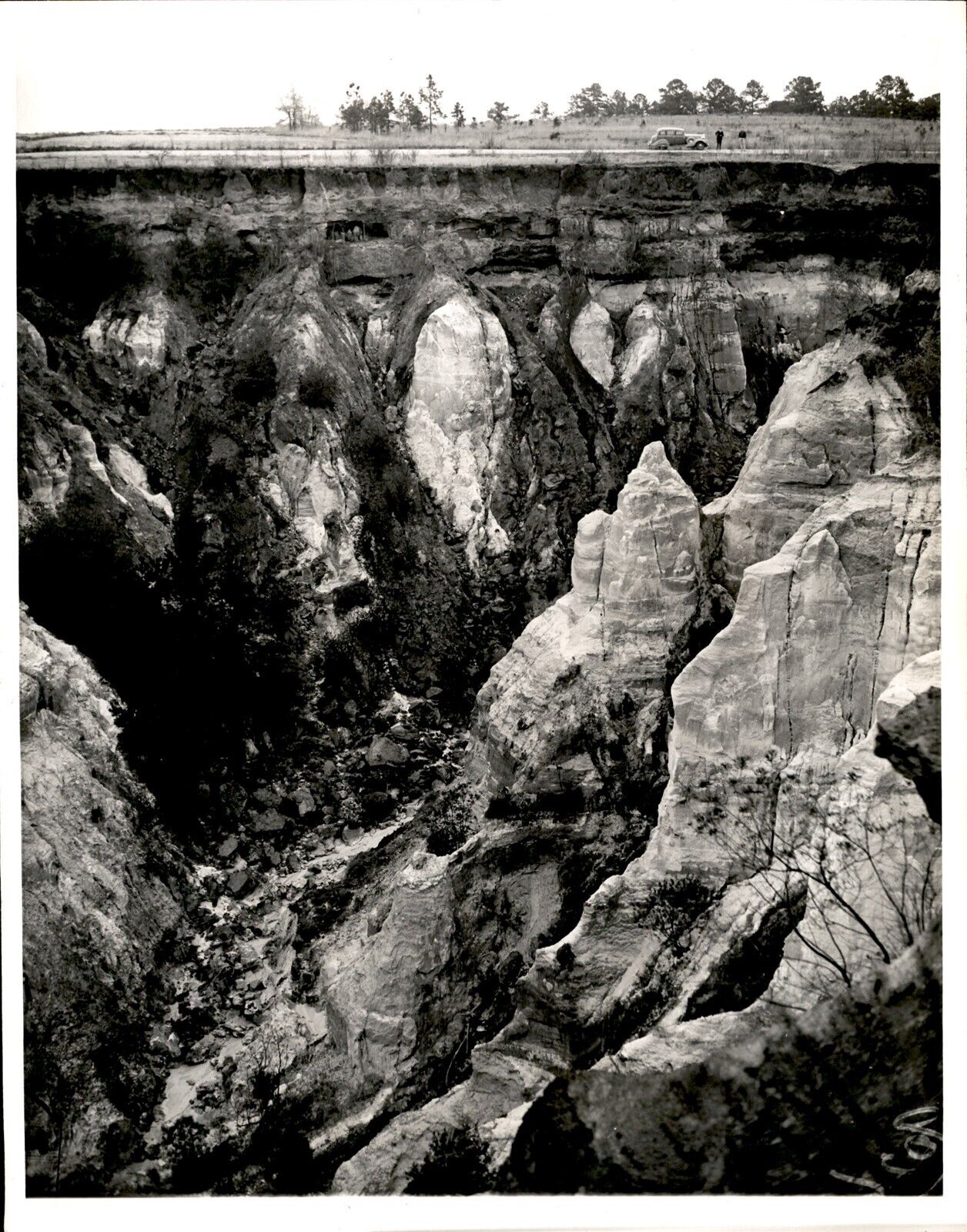 LD311 1937 Original Photo PROVIDENCE CAVES GRAND CANYON OF GEORGIA SOIL EROSION