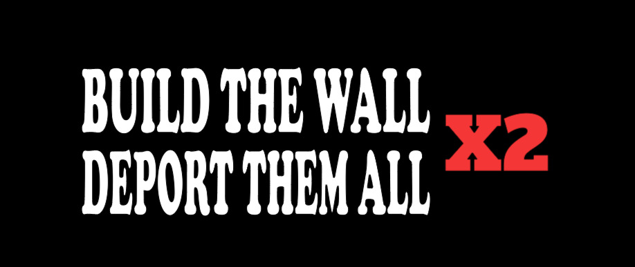 Pro Trump - Build the Wall - Deport Them All - Sticker Decal 2 Pk D&