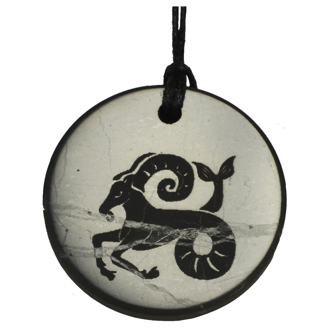 Shungite Emf Protection Necklace EMF Jewelry Pendant Zodiac Capricorn Image