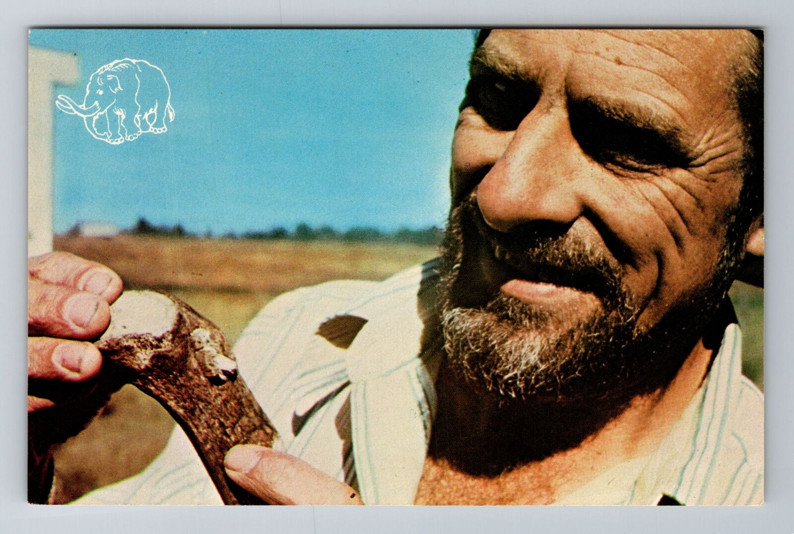 WA-Washington, Dr Carl Gustafson Examining Bone, Antique, Vintage Postcard