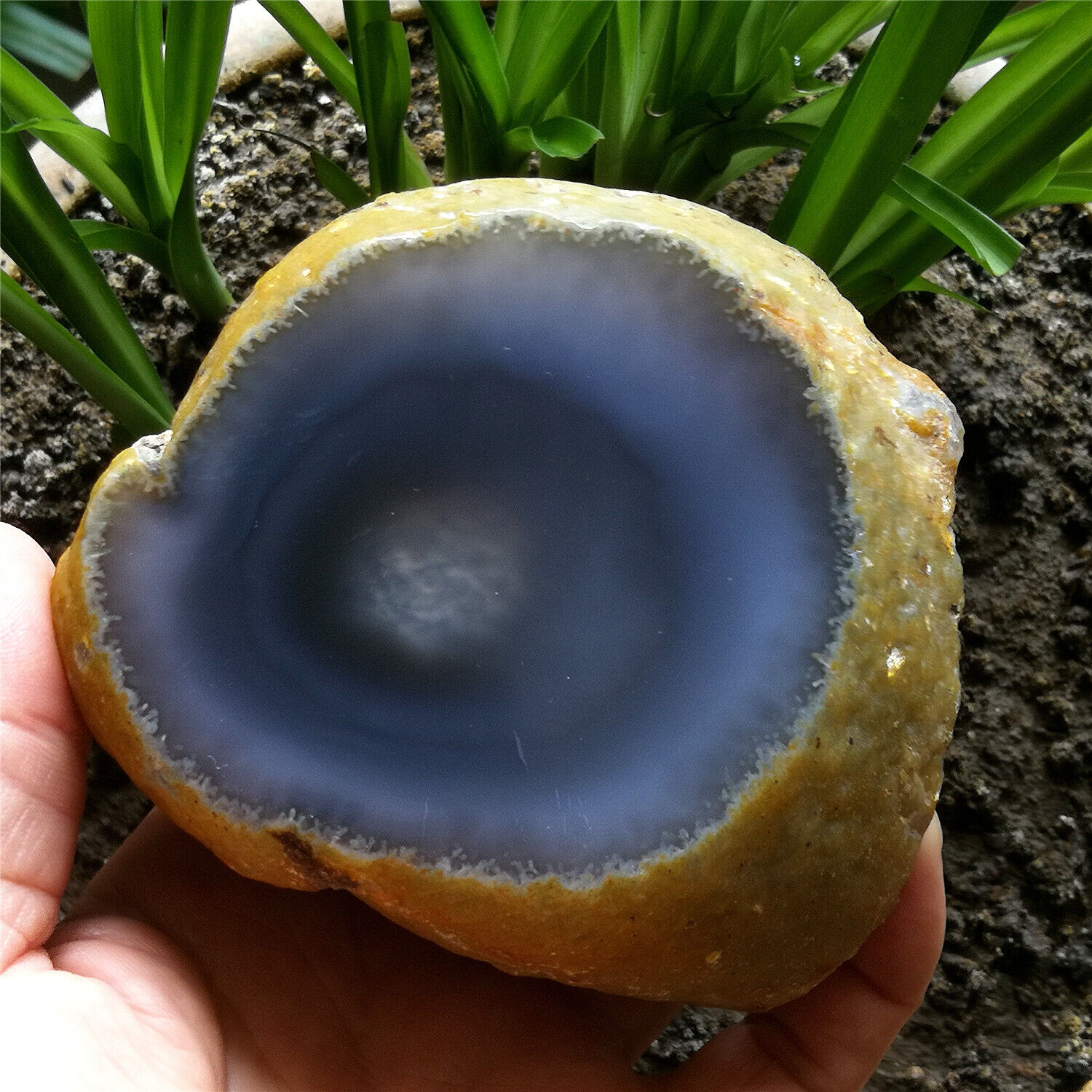 675g Natural Clear Big Moving Water Bubble Enhydro Agate Crystal Specimen Cut