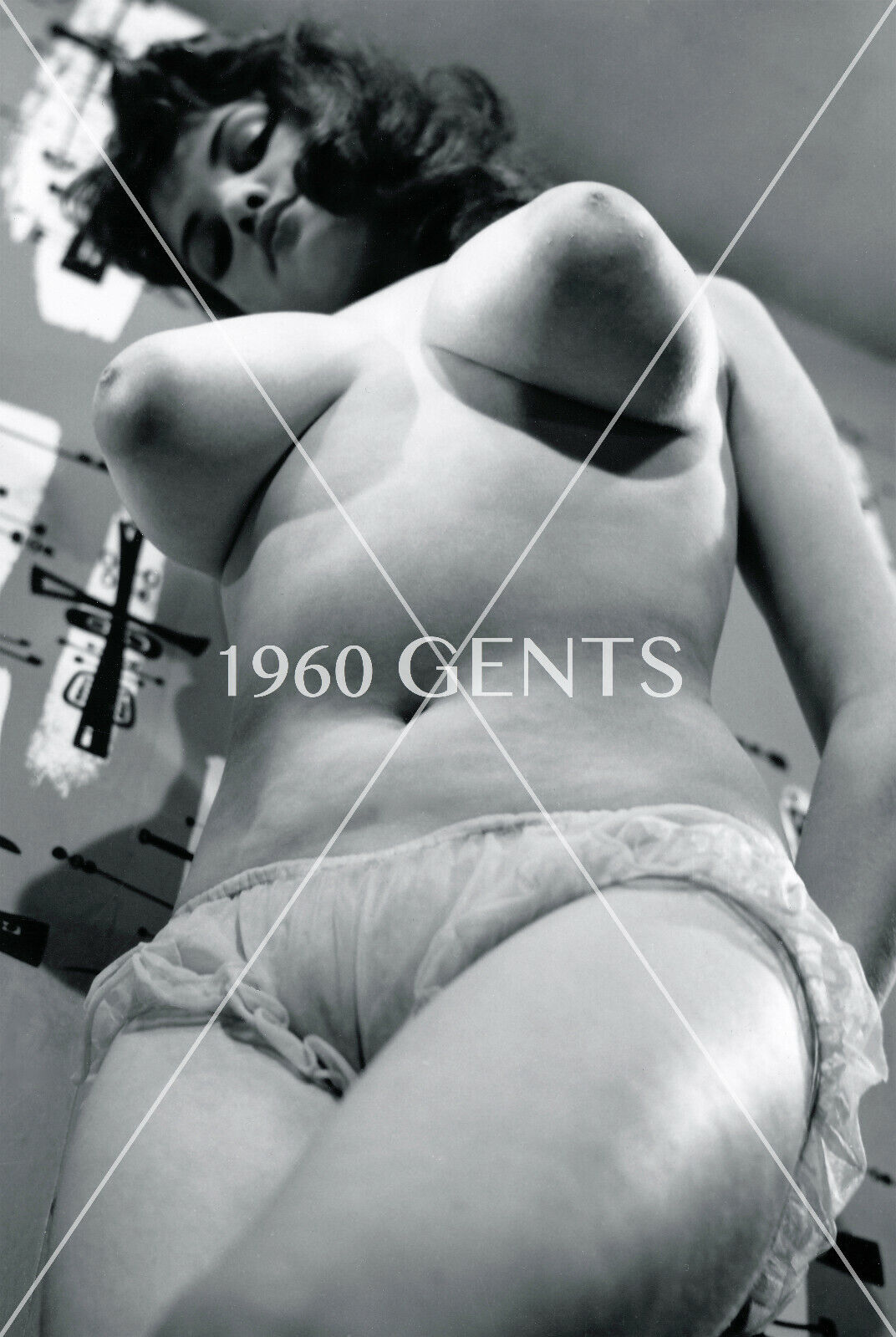 1950s Artistic Photo Print Big Breasts Brunette Model Rosina Revelle Art RR3