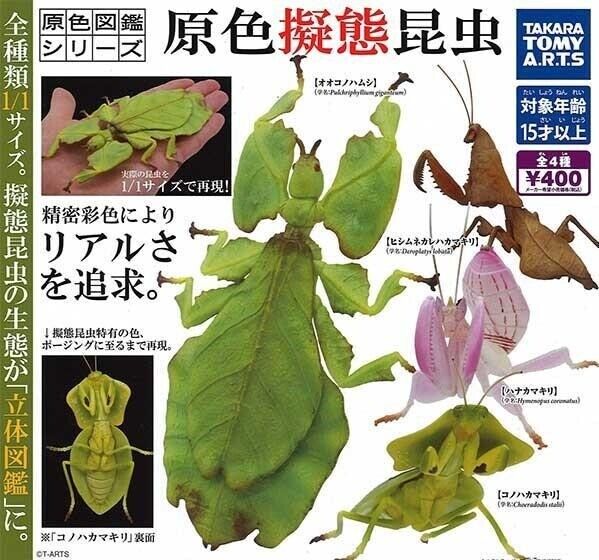Primary color mimicry insects Mantis Real Figure Full set 4 types Capsule toy