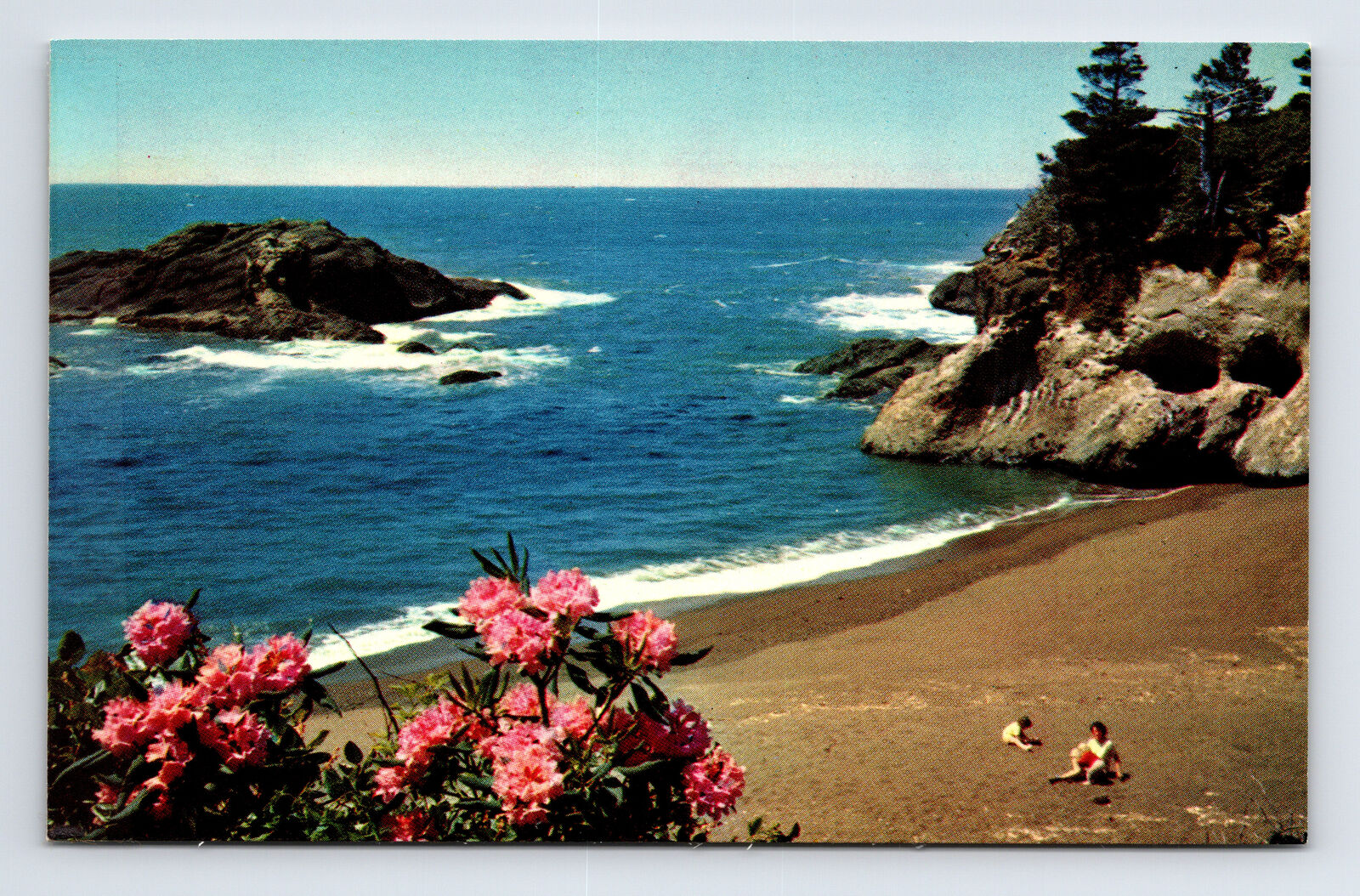 Chrome Postcard Grant's Pass OR Oregon Scenic View Pacific Coast Beach