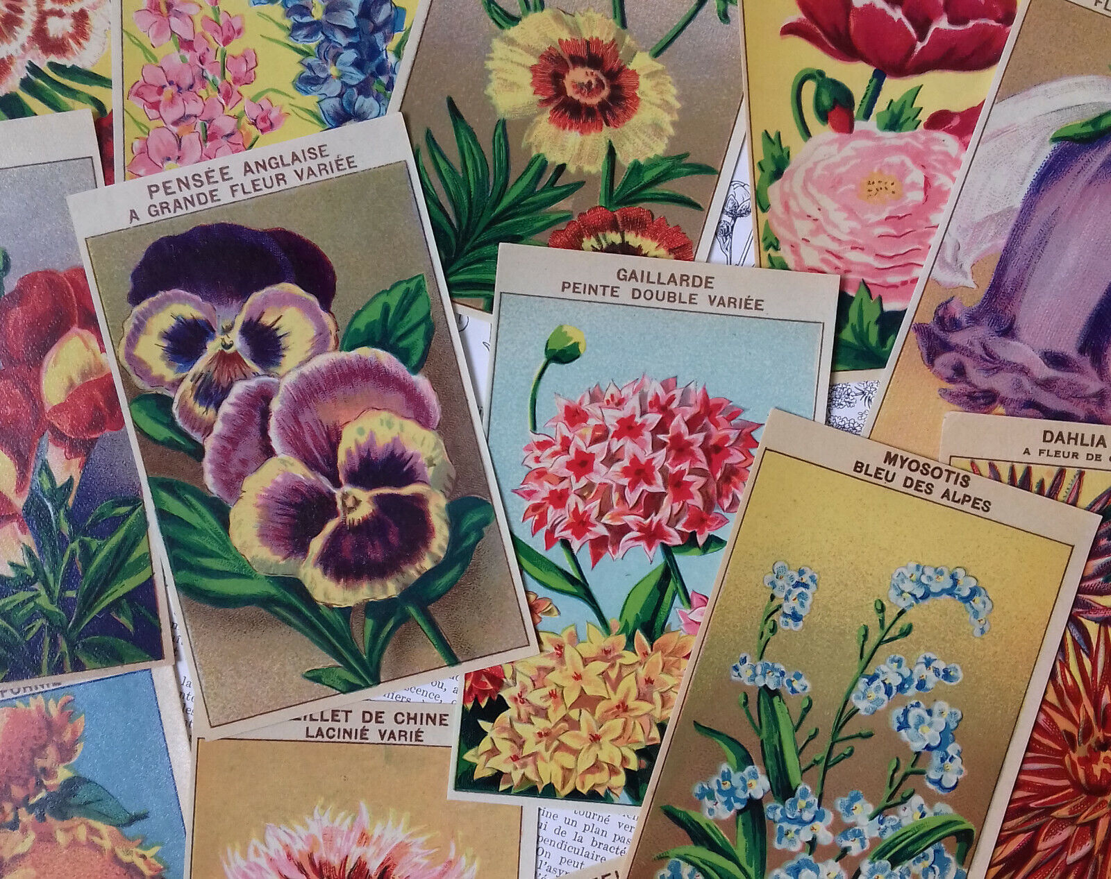 72 DIFFERENT Vintage French Flower Seed Packet Labels Genuine 1920's lithographs