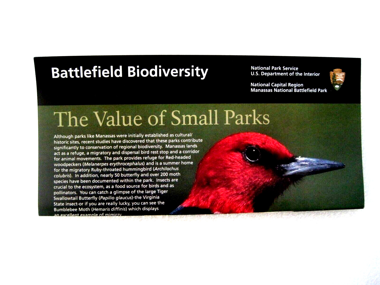 Manassas Battlefield Biodiversity National Park Service Unigrid Brochure Map