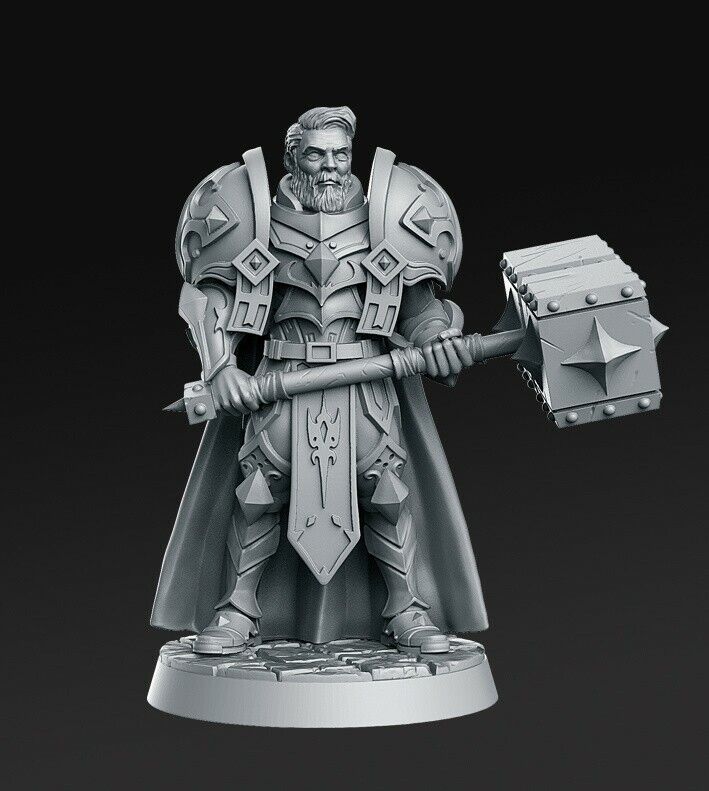 Sir Warrick Male Paladin 32mm - DnD Miniatures - Dungeons and Dragons Fantasy