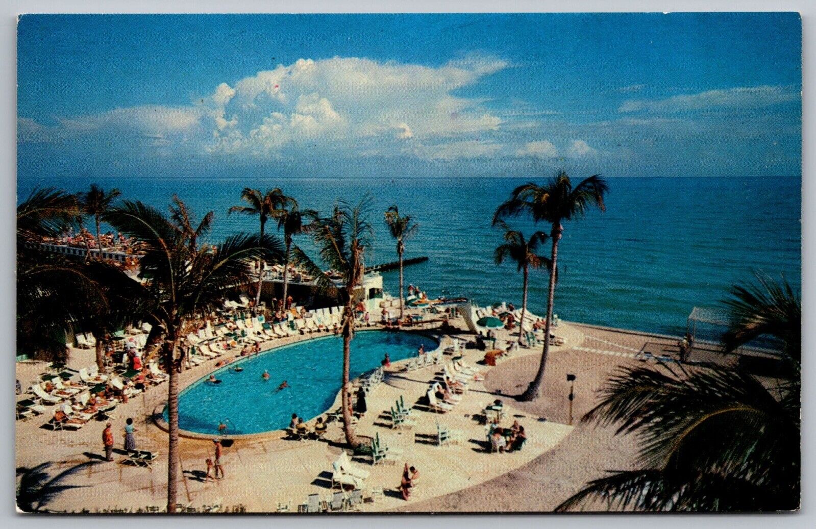 Tropical Southern Coast Florida Tropical Palm Birds Eye View Oceanfront Postcard