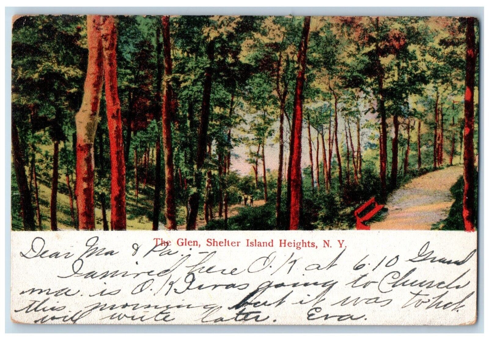 1908 The Glen Wood Path Tree Shelter Island Heights New York NY Antique Postcard