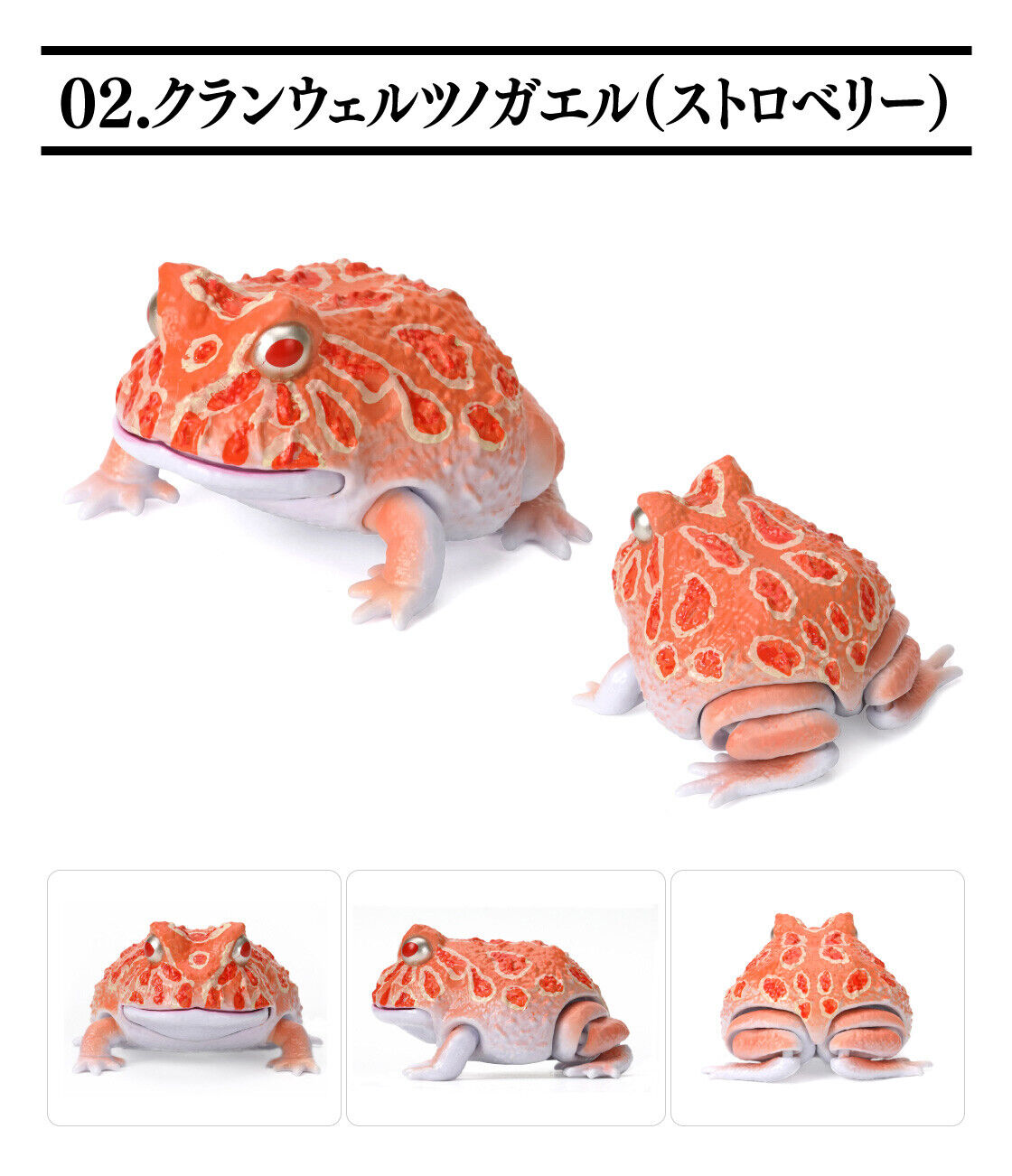 The Diversity of Life on Earth Bandai Gashapon Cranwell Horned Frog Strawberry