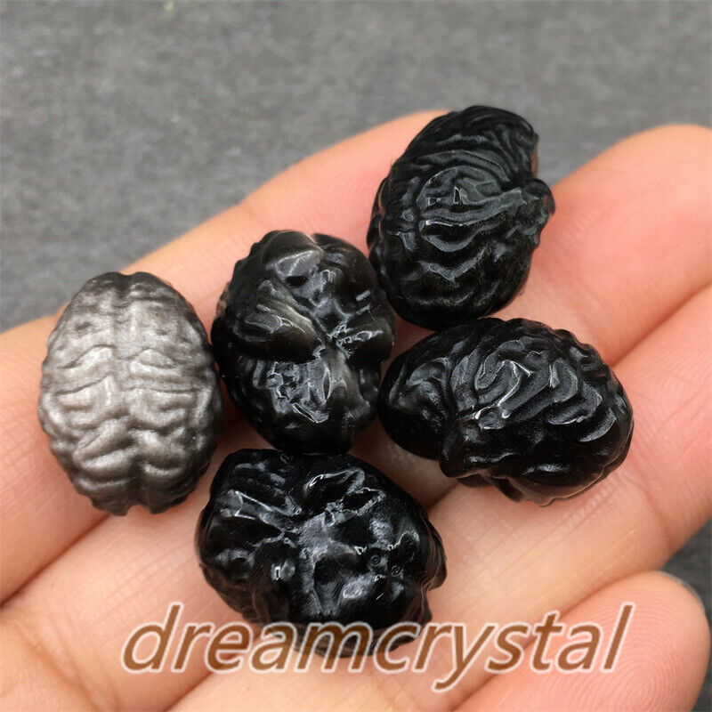 5pcs Carved Obsidian Brain Skull Mini Quartz Crystals Skull Reiki Healing 
