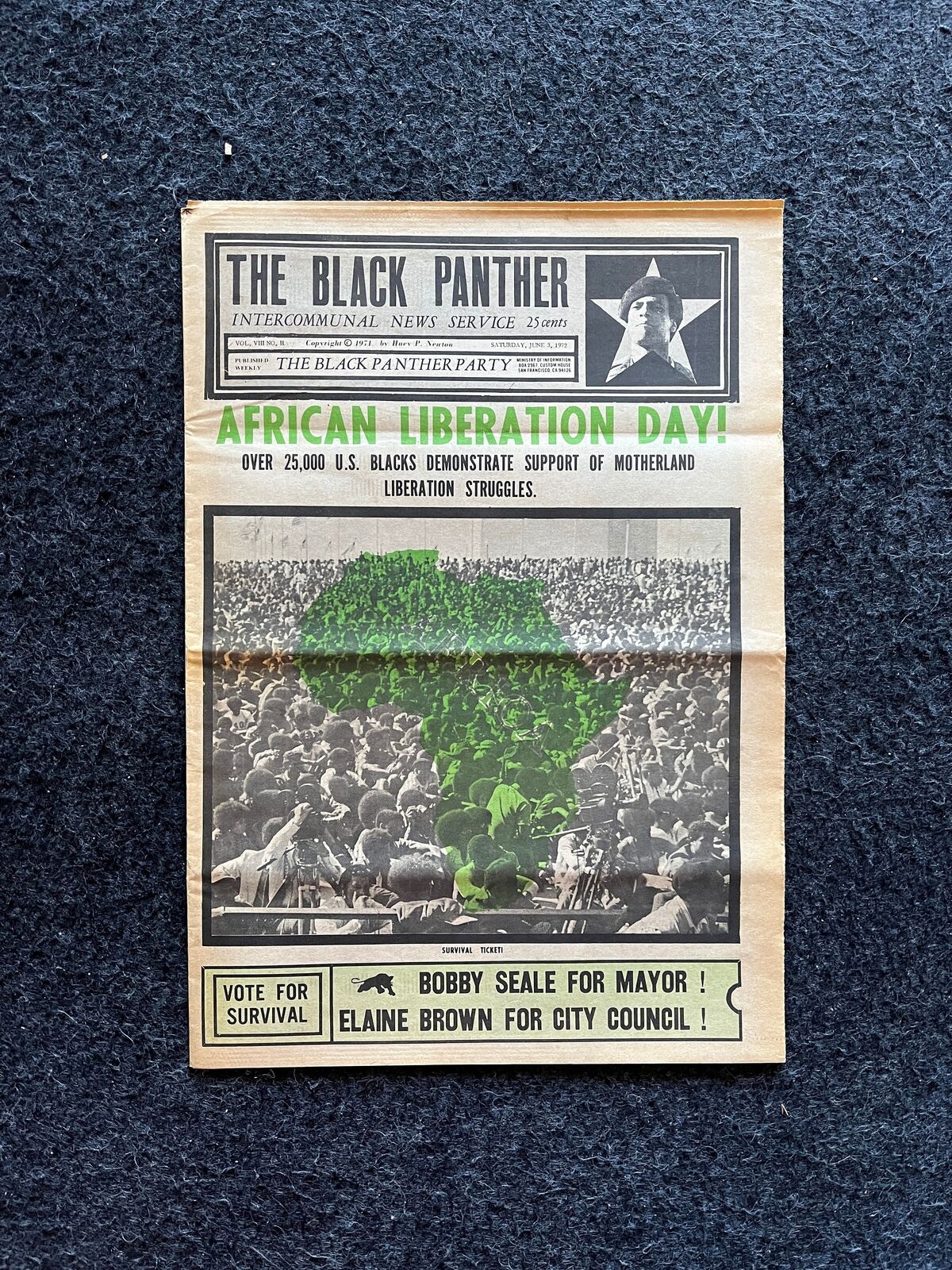 1971 African Liberation Day, Black Panther Political Party, Education Art, Civi