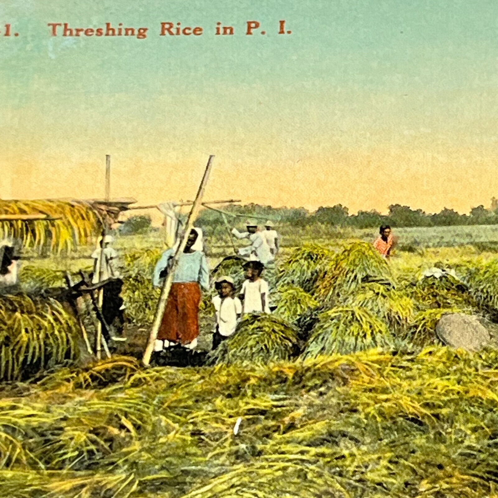 Antique Postcard Philippines  Threashing Rice In P.I. M5 