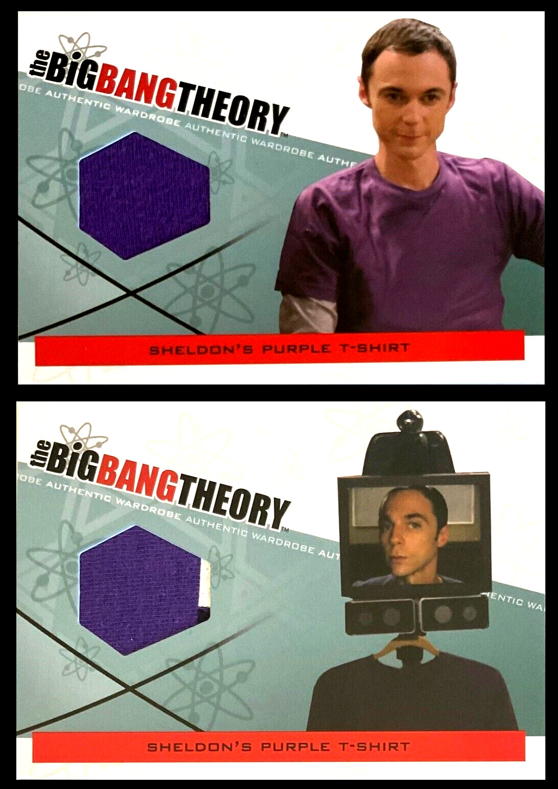 The Big Bang Theory Seasons 3 & 4 Pair of M-01.0 & M-01.1 Wardrobe Cards Sheldon