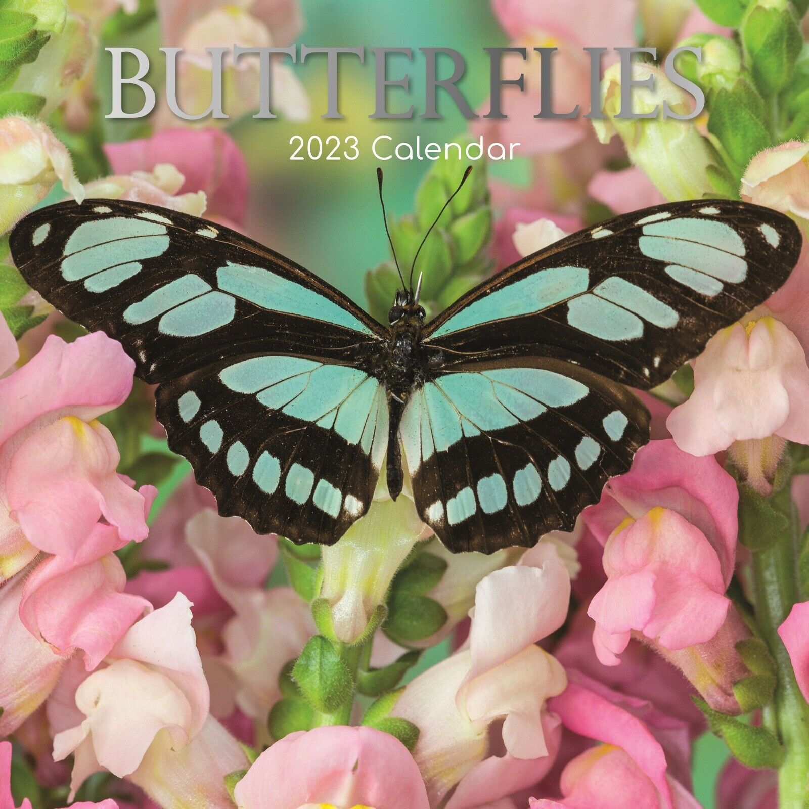2023 Wall Calendar - Butterflies, 12 x 12 Inch Monthly, 16-Month, Animal Theme