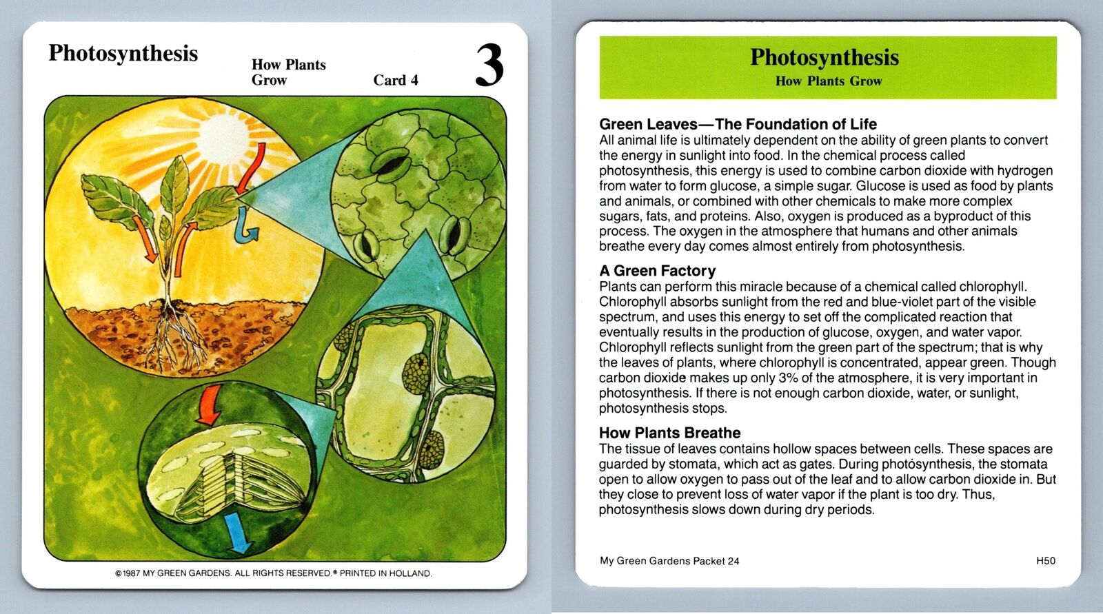 Photosynthesis #4 Grow - My Green Gardens 1987 Cardmark Card