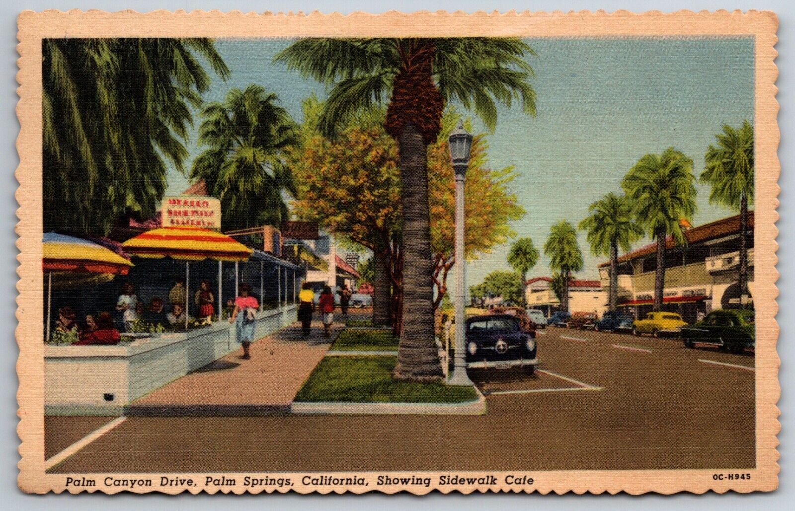 Palm Canyon Drive Palm Springs California Sidewalk Cafe Willard 1954 Postcard