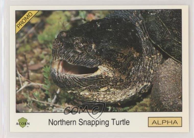 1991 Acorn Biosphere Promo Set Northern Snapping Turtle #50 0kb5