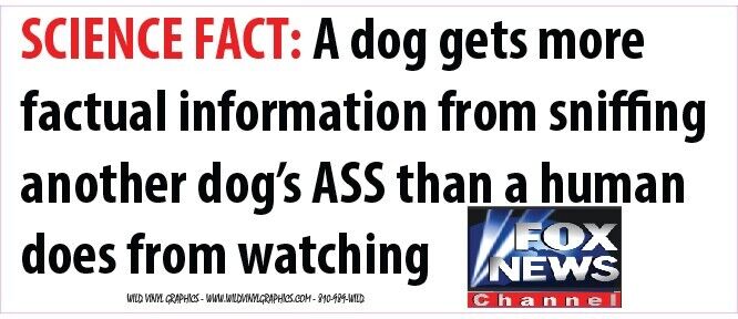 SCIENCE FACT DOG SNIFFING CAN GET MORE FACTS FOX NEWS 10X4 WVPO-0627 STICKER