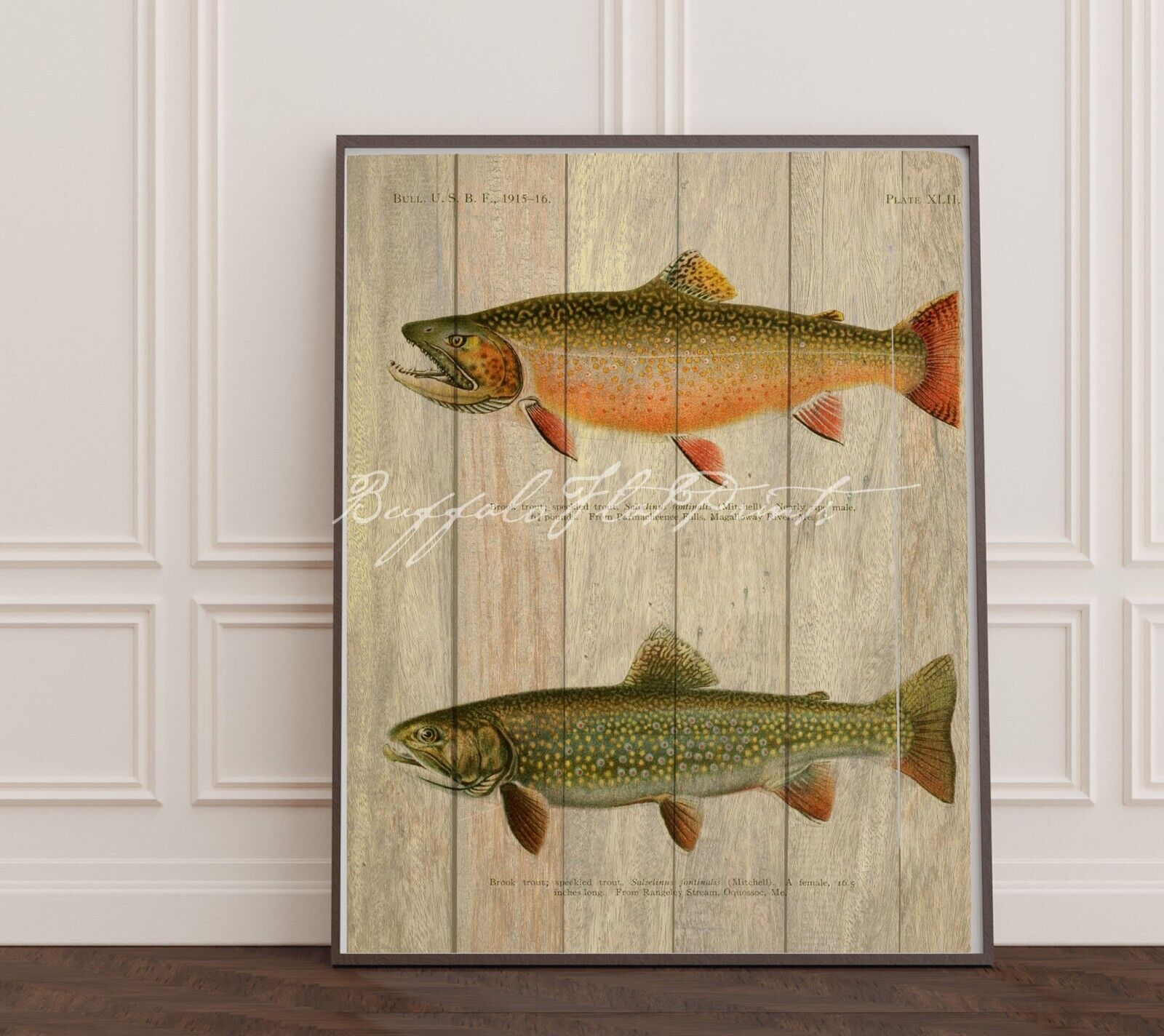 Salmon Trout Art Print Wood Look Brook Trout Speckled Fish Breeds Angler  16x20