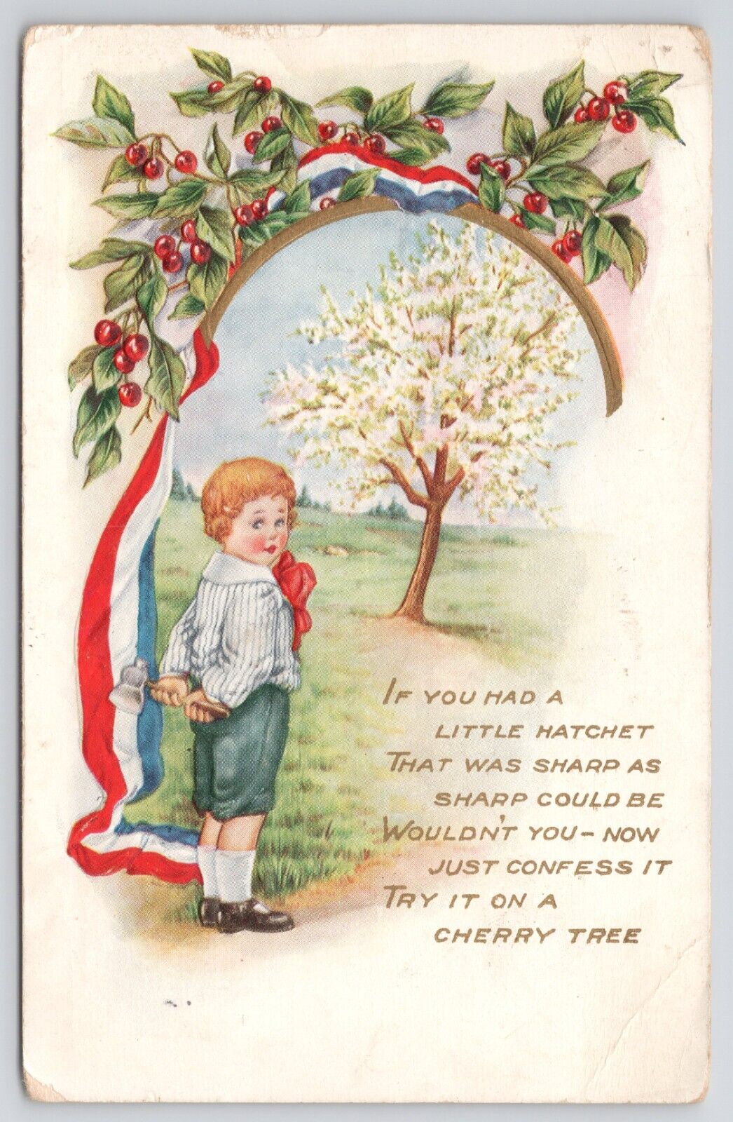 Boy Hatchet Cherry Tree Washington American Flag Embossed 1916 Divided Postcard