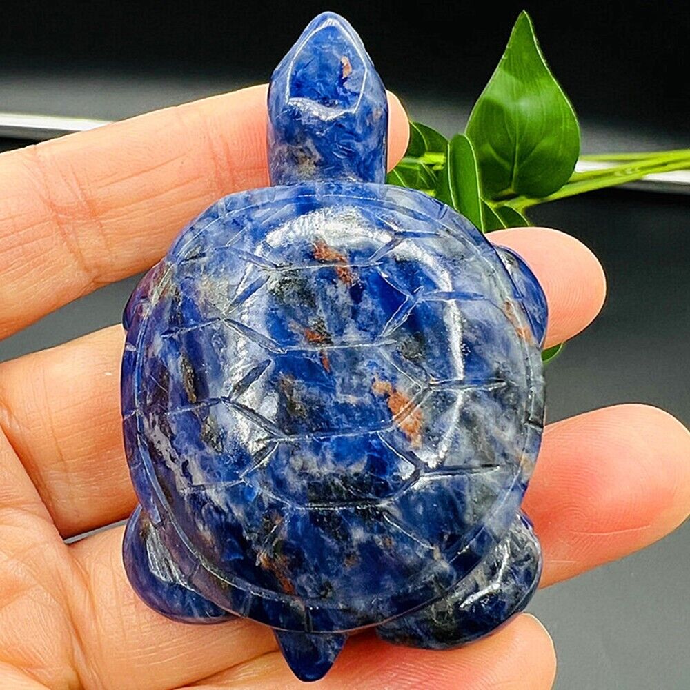 1 Pc Natural Sapphire Turtle Skull Crystal Quartz Turtle Reiki Healing 2.6