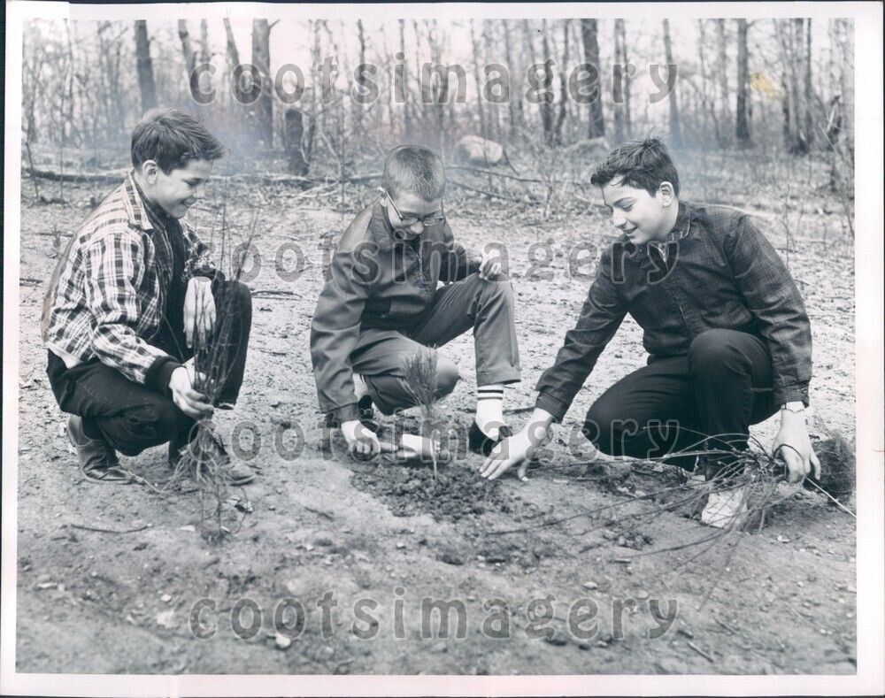 1963 Parkview School Students Battle Soil Erosion Parma Ohio Press Photo
