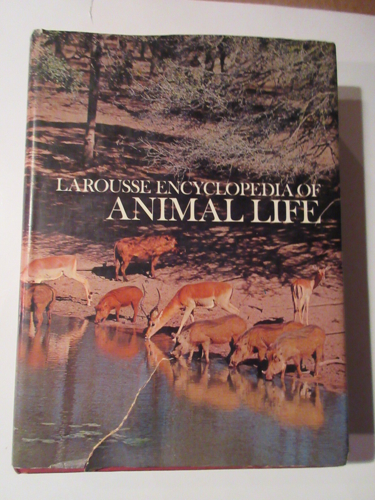Encyclopedia of Animal Life- Larousse - 1972  HARD COVER