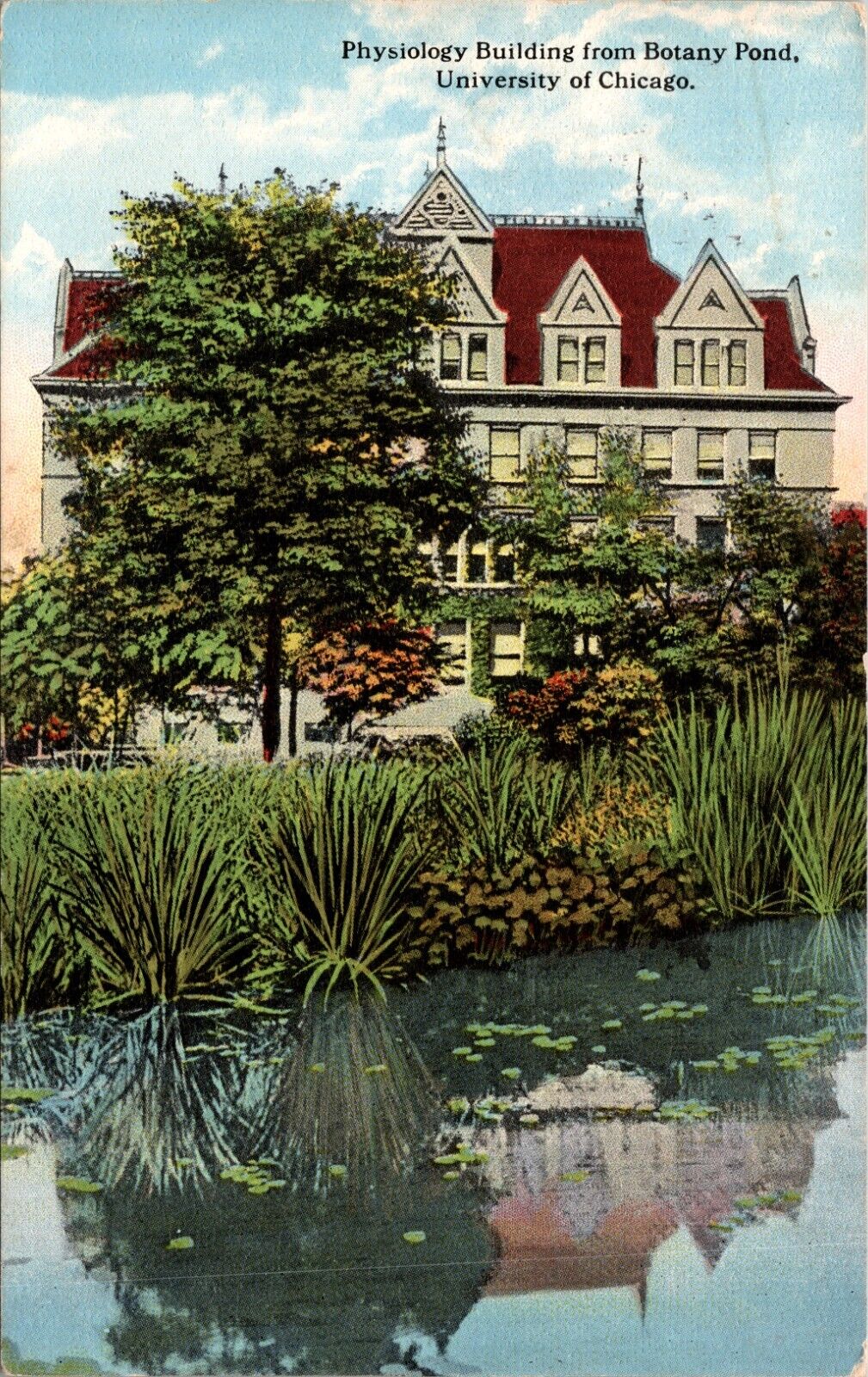 Physiology Building Botany Pond University Chicago Illinois Postcard DB 1916