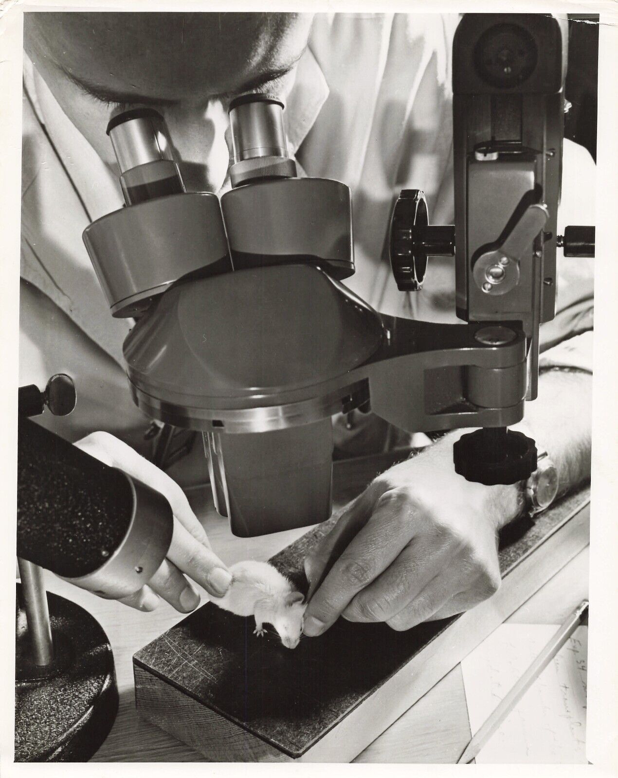 Brookhaven National Laboratory 1954 Press Photo Atomic Science Upton NY  *P67b
