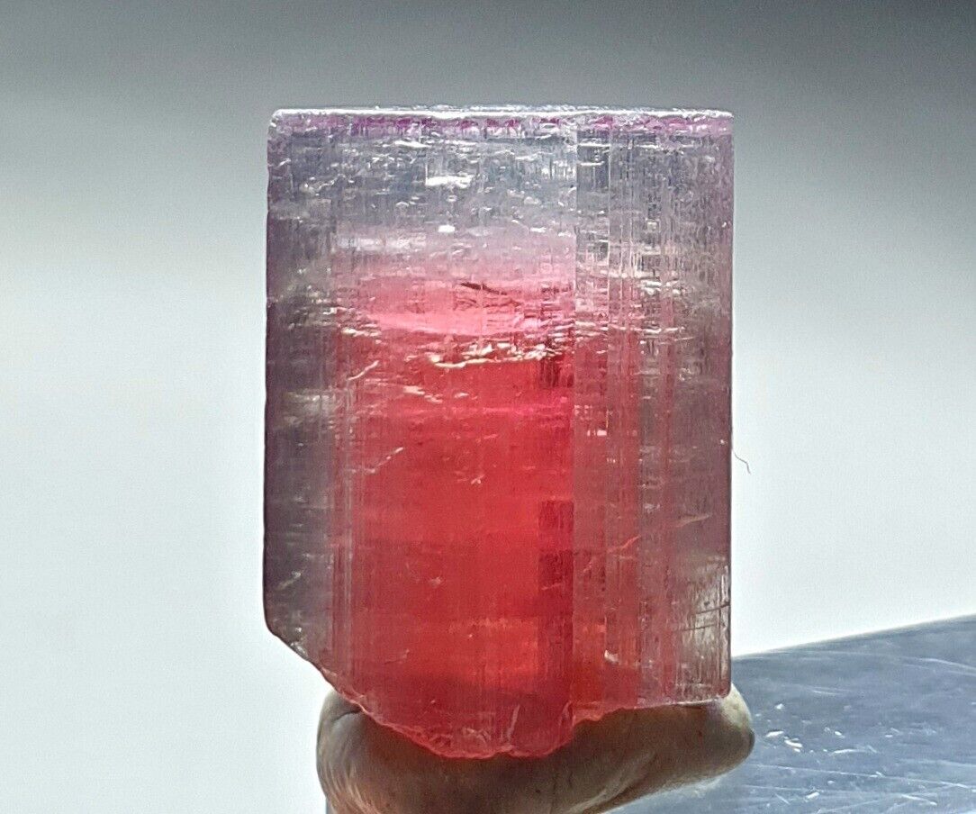 Tri colour terminated watermelon tourmaline crystal - 20 carats