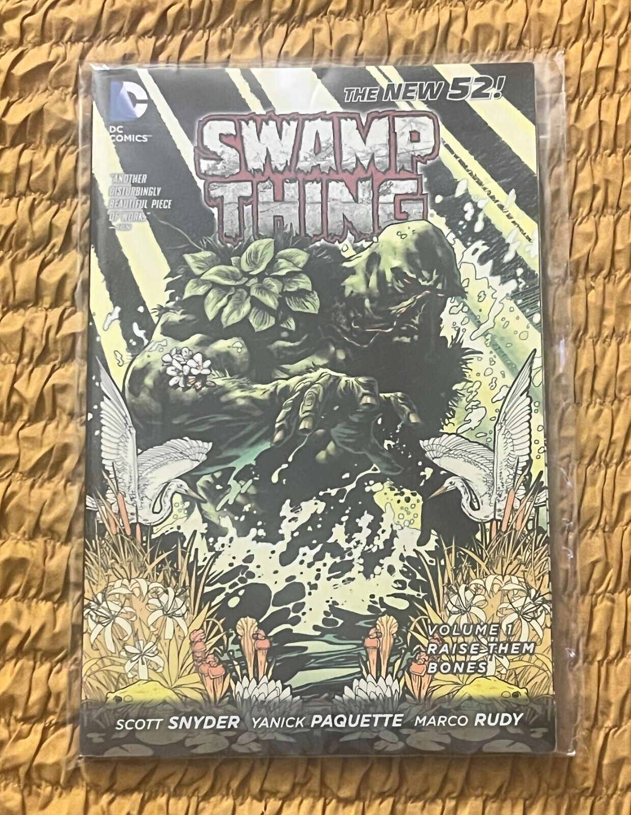 Swamp Thing Vol. 1: Raise Them Bones TPB (DC Comics The New 52)